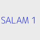 Agence immobiliere SALAM 1